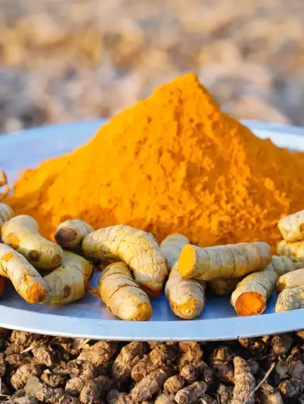 Turmeric-back Turmeric-back